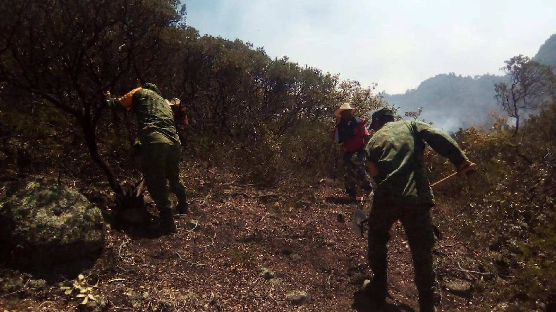 Incendio en la Sierra de San Miguelito 